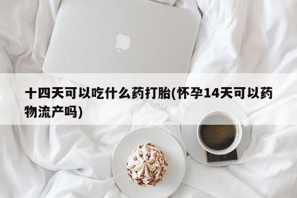 推荐个卖流产药的微信十四天可以吃什么药打胎(怀孕14天可以药物流产吗)